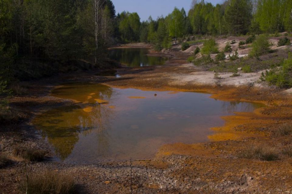 Park Krajobrazowy Łuk Mużakowa 
