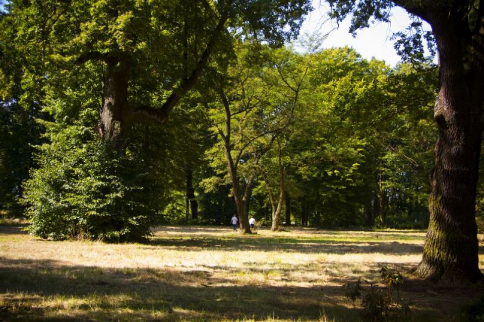 Podworski Park w Cielmowie