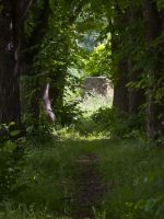 ???: Szubienica w Trzebielu