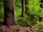 Miniatura zdjęcia: Gryżyński Park Krajobrazowy