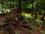 Miniatura zdjęcia: Gryżyński Park Krajobrazowy