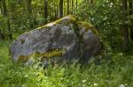 Miniatura zdjęcia: Diabelski Kamień w Kamienicy